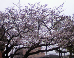 2011040215390000_2